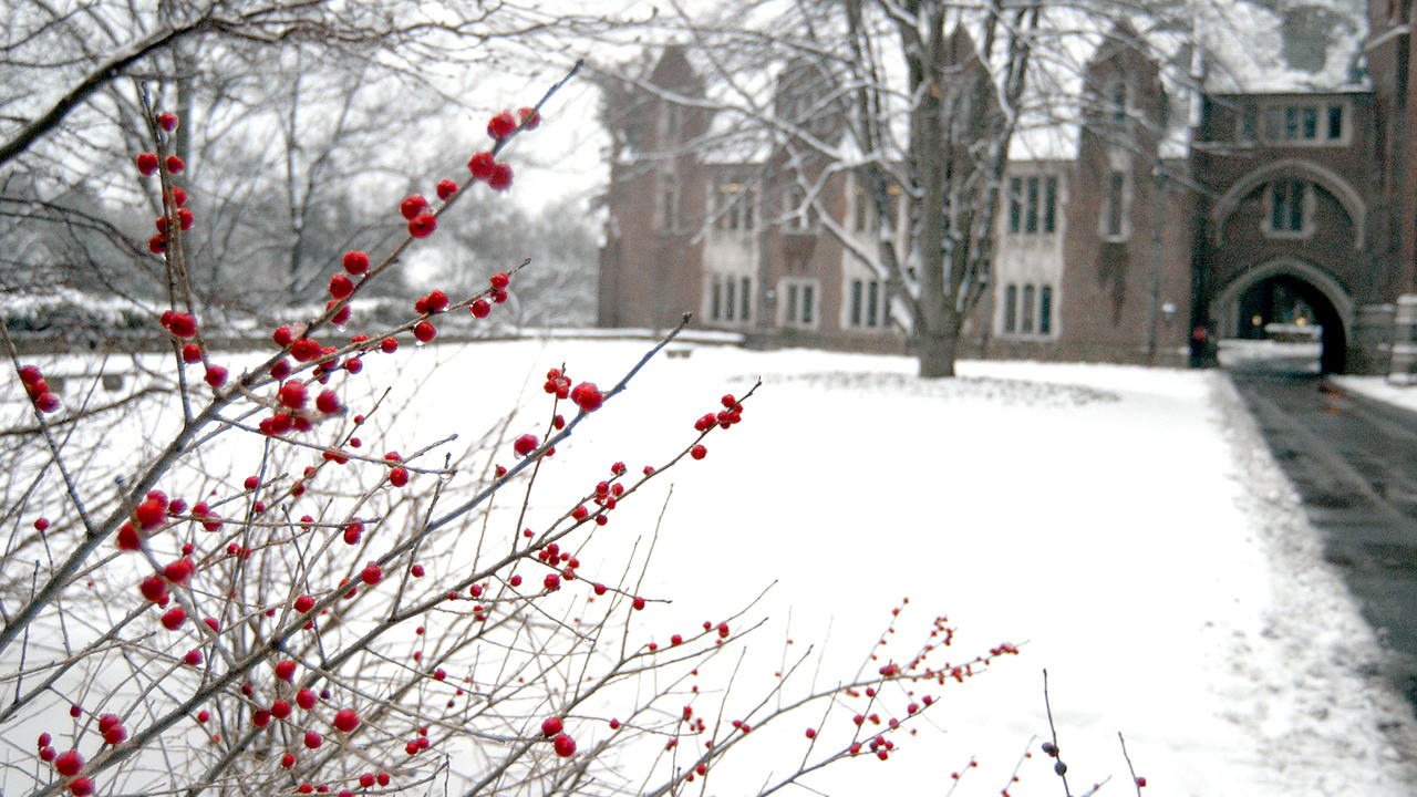 A winter photo of campus with winter berries in the foreground.