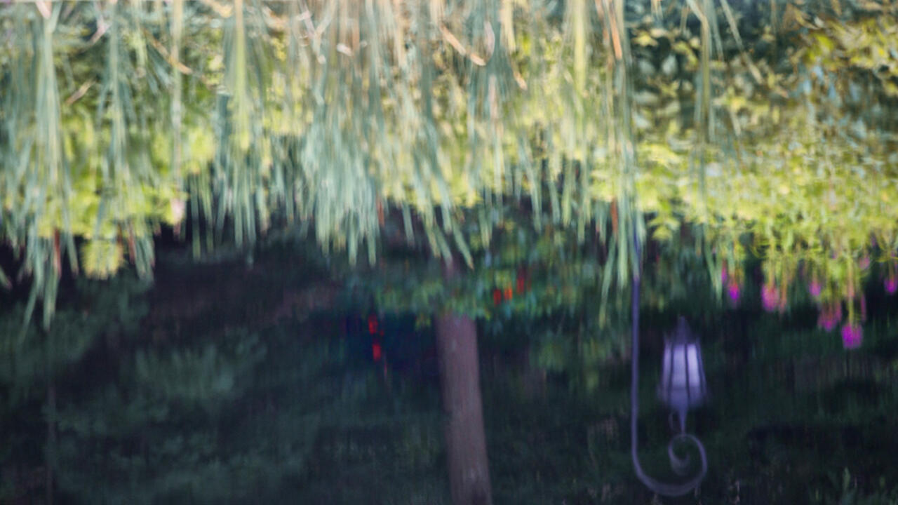 A reflection of a Wellesley lamp post in Paramecium Pond.