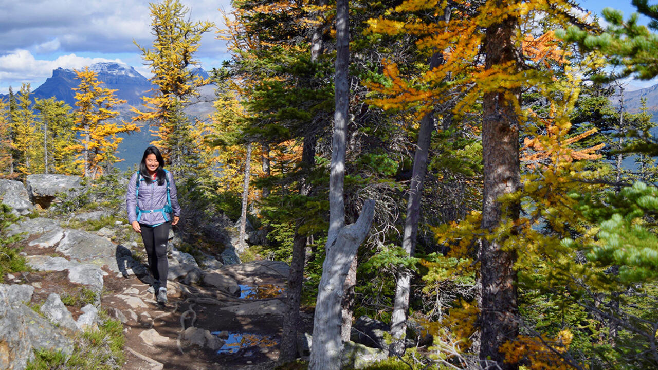 Veronica Lin walks through a forest 