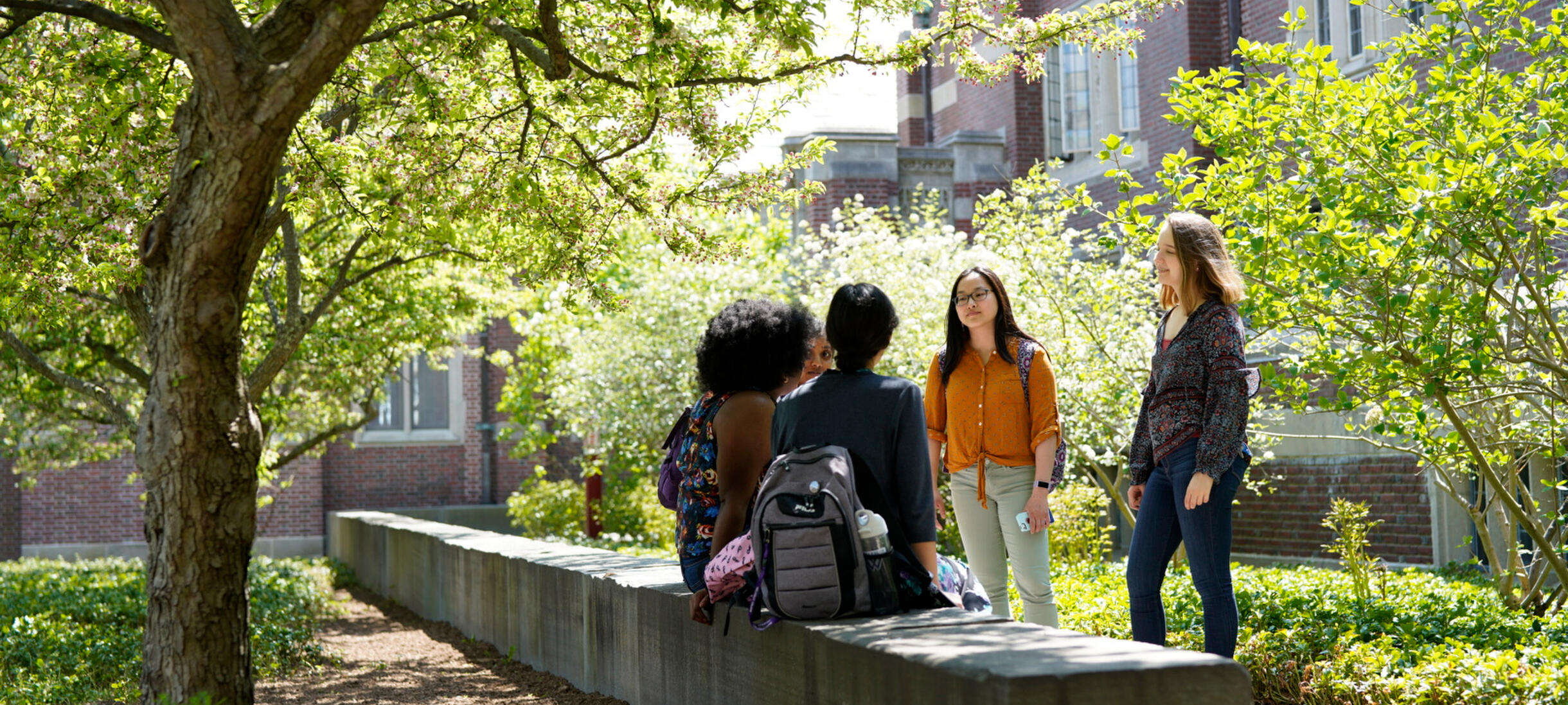 Students standing together talking
