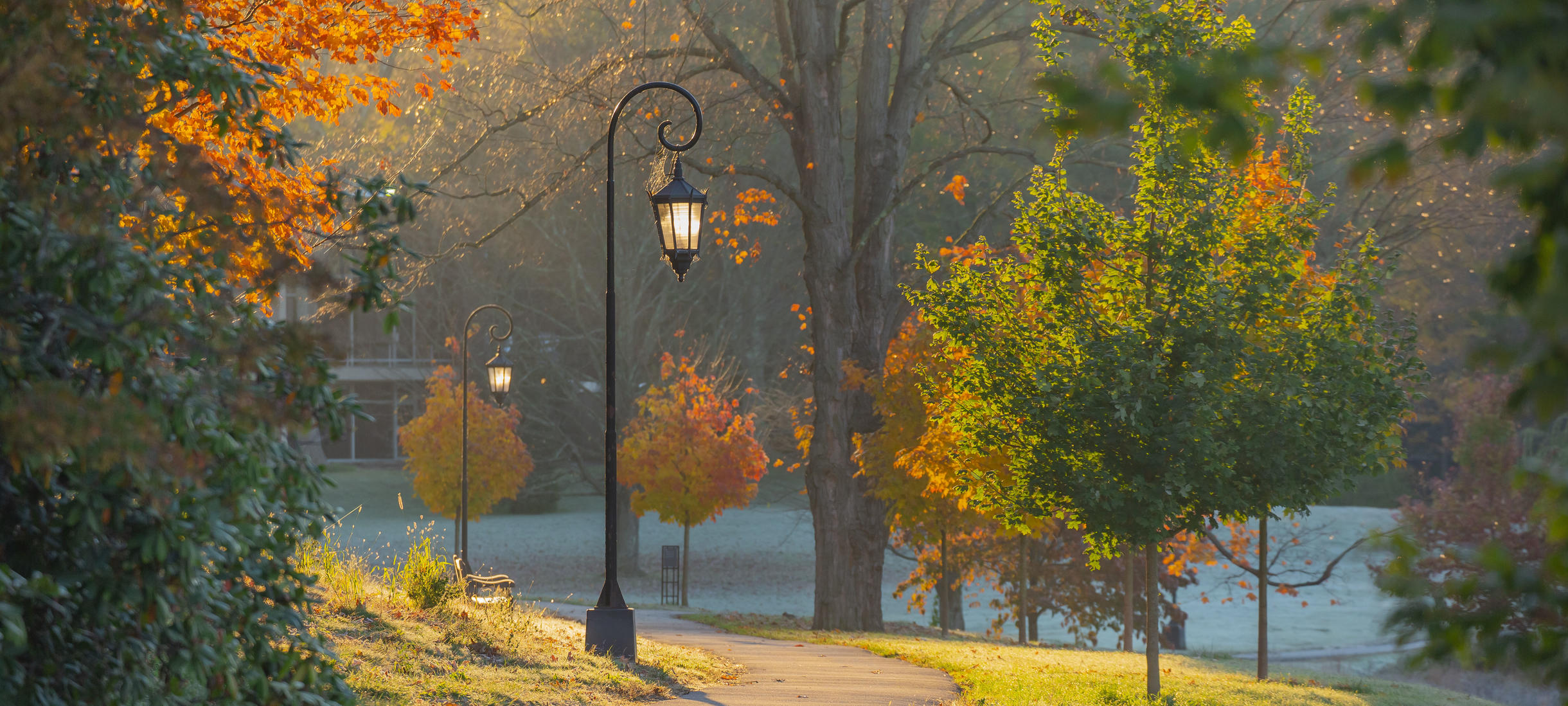 lamppost on path leading to lake waban, surrounded by fall foliage