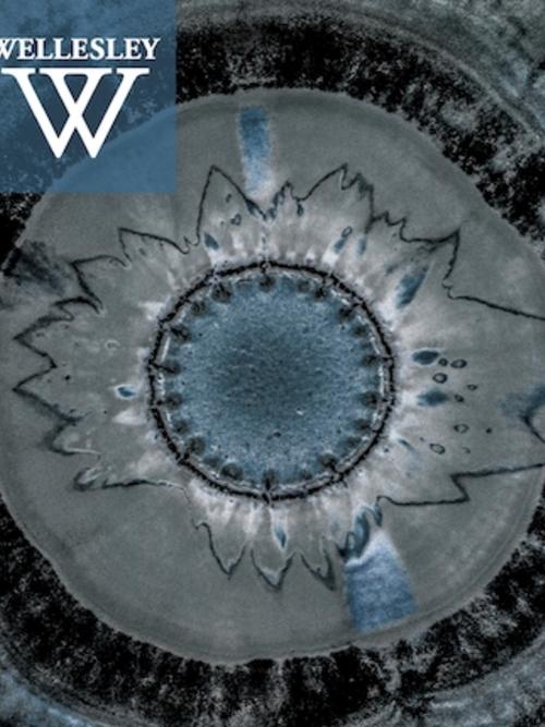 Cover of the Summer 2019 Issue of Wellesley magazine 