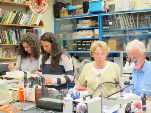 Dr. Beltz in her lab with colleagues.