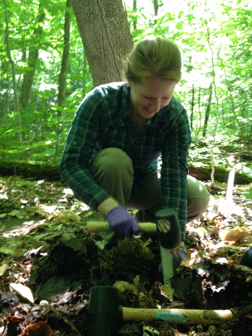 Matthes collects soil cores at Hubbard Brook for experiments back at Wellesley