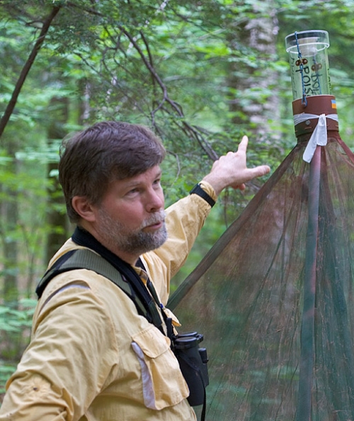 Nick with a Malaise trap for capturing insects